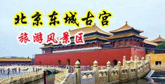 插骚逼好爽视频啊啊啊中国北京-东城古宫旅游风景区